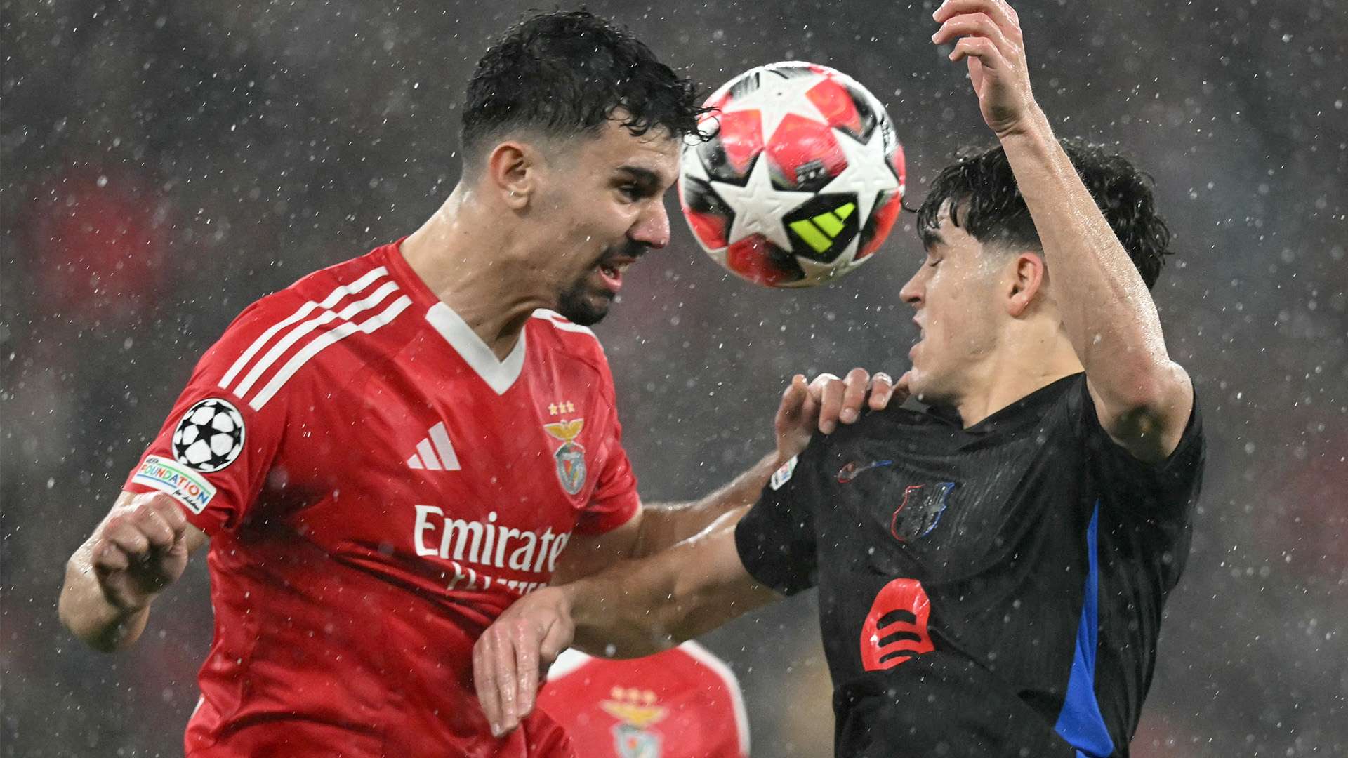 提供了更多 提供了更多